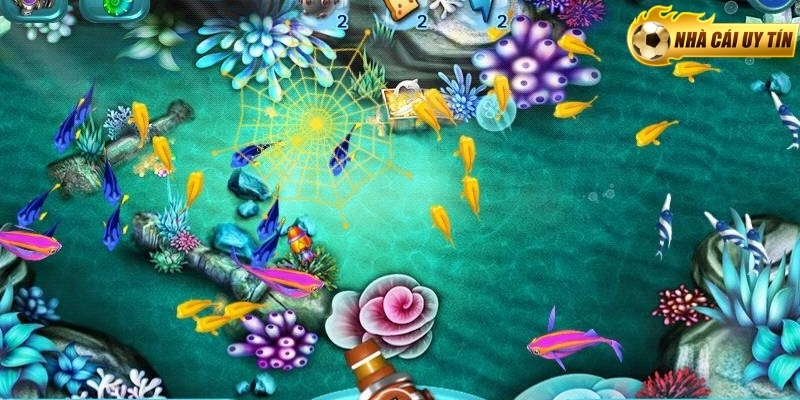 Tăng cơ hội thắng lớn khi bắn cá 